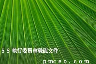 5S執行委員會職能文件