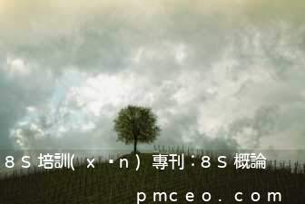 8S培訓(xùn)專刊：8S概論
