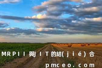 MRPII與JIT的結(jié)合