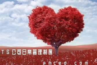 TS公司日常管理制度