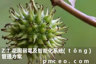 ZT花園弱電及智能化系統(tǒng)管理方案
