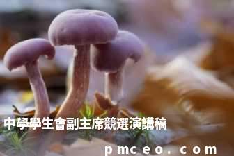 中學學生會副主席競選演講稿