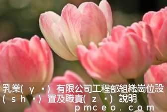乳業(yè)有限公司工程部組織崗位設(shè)置及職責(zé)說明