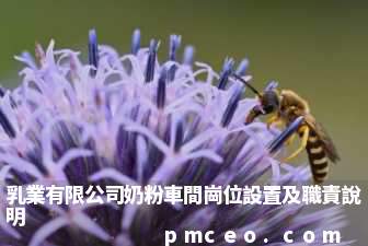 乳業有限公司奶粉車間崗位設置及職責說明