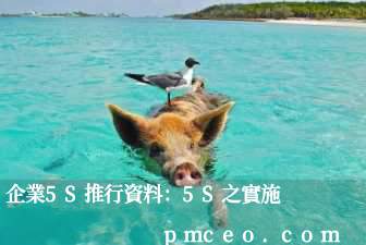 企業5S推行資料：5S之實施