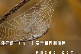 住宅小區(qū)安全管理制度目錄