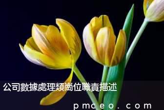 公司數據處理類崗位職責描述