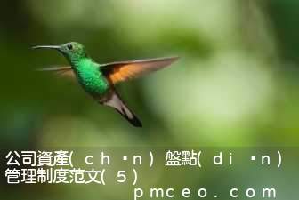 公司資產(chǎn)盤點(diǎn)管理制度范文(5)