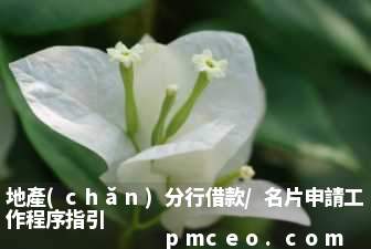 地產(chǎn)分行借款/名片申請工作程序指引
