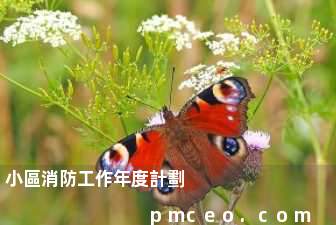 小區消防工作年度計劃
