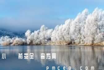 小區節前安全檢查方案