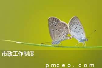 市政工作制度