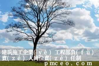建筑施工企業(yè)工程部負(fù)責(zé)人崗位責(zé)任制