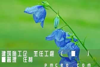 建筑施工企業主任工程師(質量總監)質量管理責任制