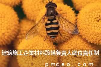 建筑施工企業材料設備負責人崗位責任制