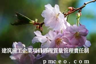 建筑施工企業項目經理質量管理責任制
