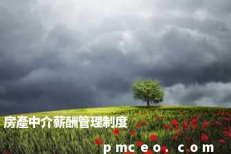 房產中介薪酬管理制度