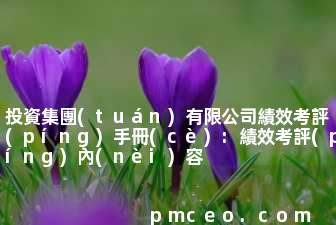 投資集團(tuán)有限公司績效考評(píng)手冊(cè):績效考評(píng)內(nèi)容