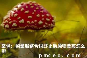 案例:物業服務合同終止后原物業該怎么辦