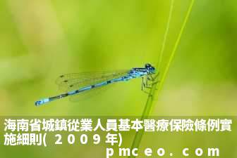海南省城鎮從業人員基本醫療保險條例實施細則(2009年)