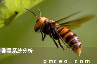 測量系統分析