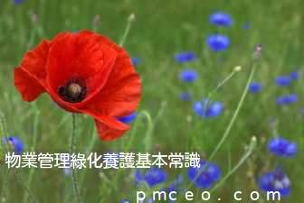 物業管理綠化養護基本常識