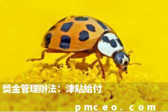 獎金管理辦法：津貼給付