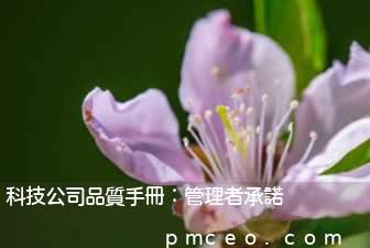 科技公司品質手冊：管理者承諾