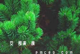 競選文藝部演講稿