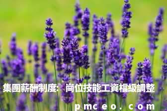 集團薪酬制度:崗位技能工資檔級調整