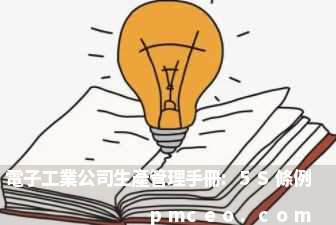 電子工業公司生產管理手冊:5S條例