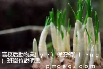 高校后勤物業(yè)保安領(lǐng)班崗位說明書