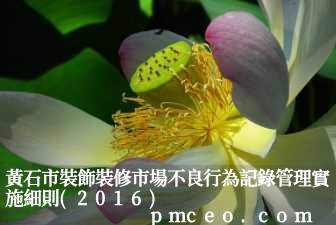 黃石市裝飾裝修市場不良行為記錄管理實施細則(2016)